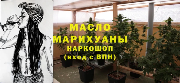 дживик Бородино