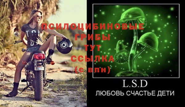 скорость Богородицк