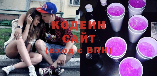дживик Бородино