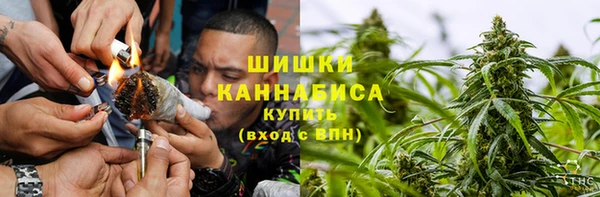 сатива Богородск