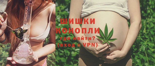 амф Бронницы